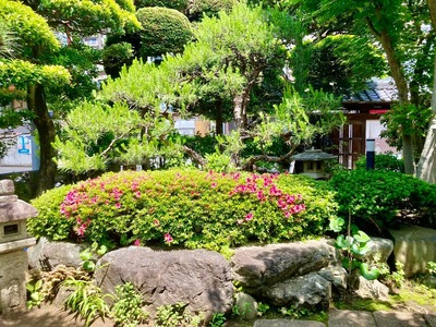 282131810_5219111544801331_5743117374578174188_n