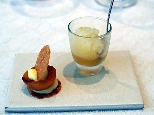 ���ץꥳ�åȤΥ����