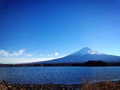 550934_479450252100841_1755815929_n