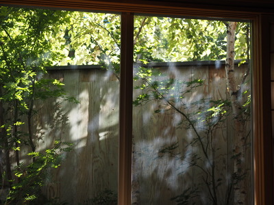 P9190245