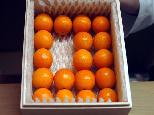 金柑