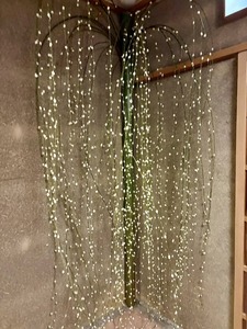 473187474_9142327702479676_2809968003433387609_n