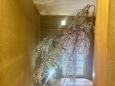 492002602_9720283374684103_2151499534469771493_n