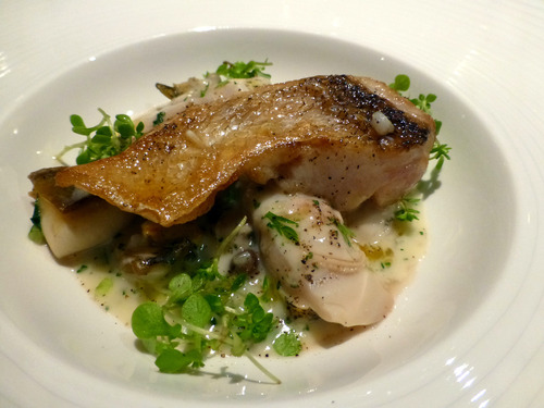 ����䡡�����䡼����