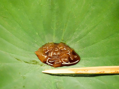 P8100091