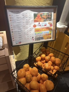 633867457_25977008481918334_788741103507381591_n