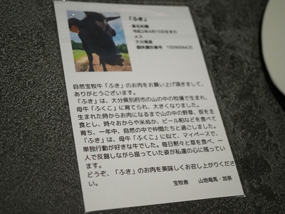 P8150133