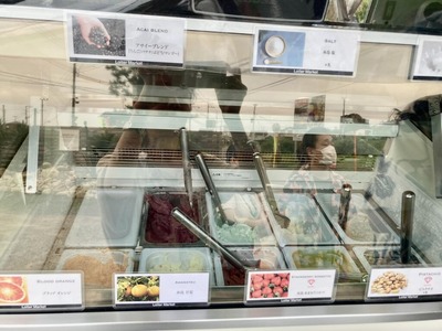 349130492_6498286553550484_6517431089603221266_n