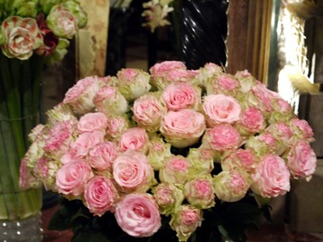 frower