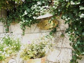 ��ӥ�åȥܥ良