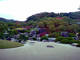 庭