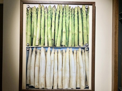 347552913_6412310832148057_2744108542671417107_n