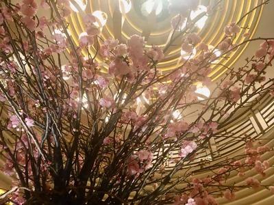 91833997_2935697083142800_5331294676337033216_n