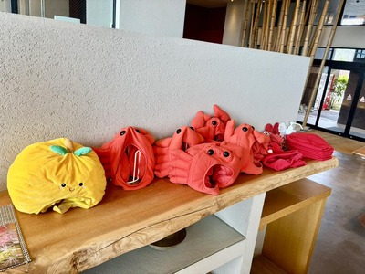 629890833_25957038073915375_4470090797003303793_n