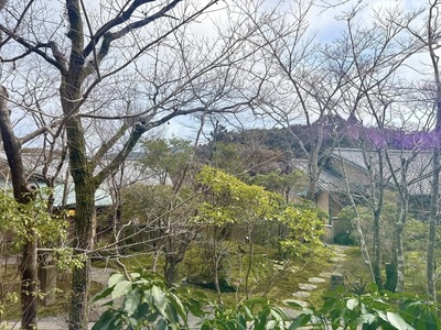 481676978_9464021943643582_4757256440299544974_n