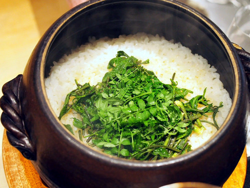 ¥³¥·¥¢¥Ö¥é¤´ÈÓ