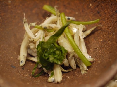 鮎の稚魚
