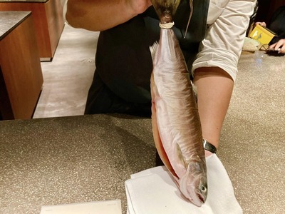 308769246_5569326896446459_99000871841414495_n