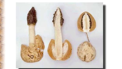 242383280_4428391513873342_3856585166866648256_n