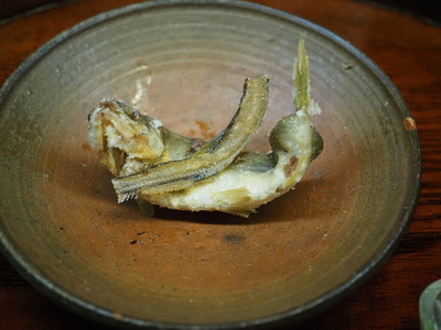 P8260207