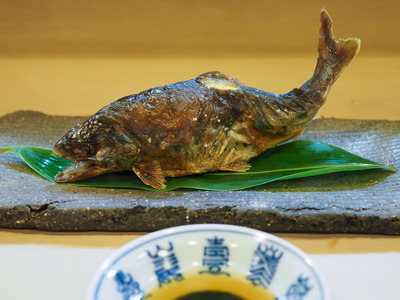 P7070017
