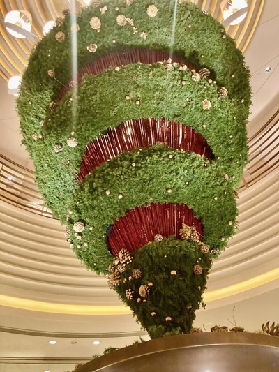 405512159_6956394321073036_3905890676546906193_n