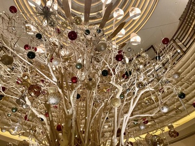 319336698_5789719271073886_6565335864984737862_n