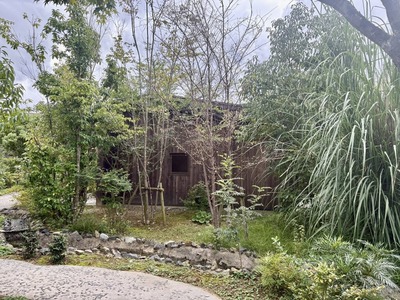 552116993_24697292819889913_417932827743617928_n