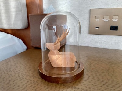 269603520_4717921401587017_3689153290254468624_n