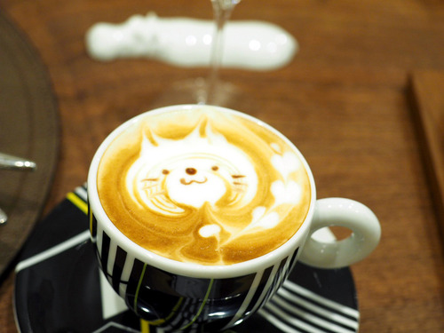 ���ץ�����