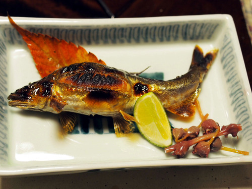 ������ι�̣�Ƥ�