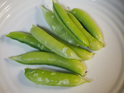 P4240032