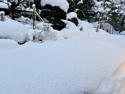 480662500_9360306544015123_1124983260159227162_n