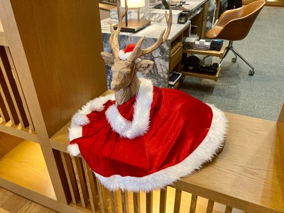 269693513_4717925534919937_6683647169641653712_n