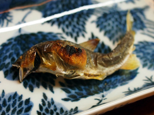 鮎の塩焼き