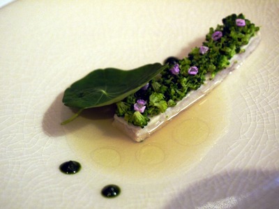 ����̥���Υࡼ��