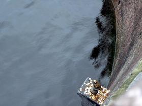 ��������Ȥ�