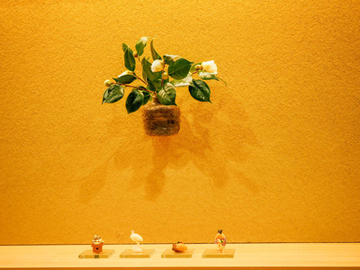 PC100270-2