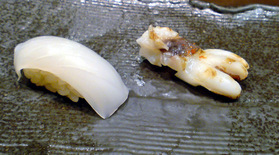烏賊