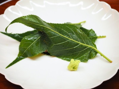 P3260019
