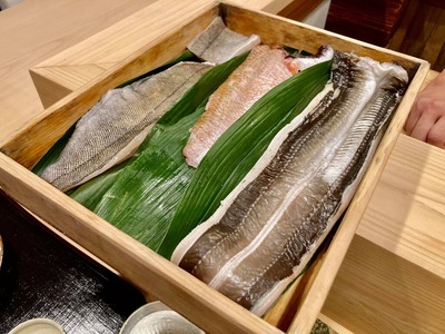 176110046_3972110826168082_9088386833543583422_n