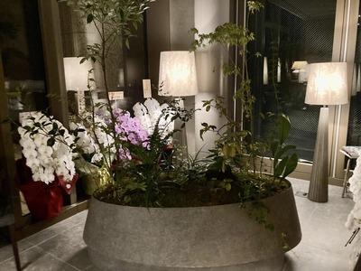 385912600_6756975827681554_5693479718523862678_n