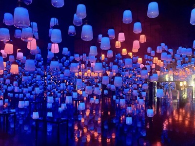 460488181_8387258044653316_7880985096349839487_n