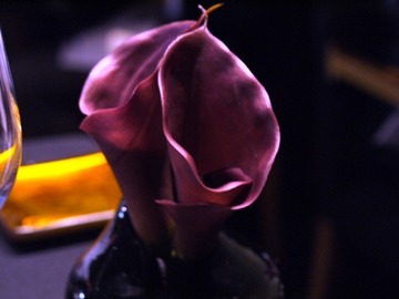 Violet color