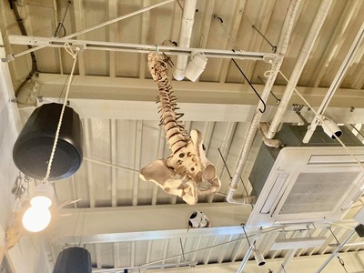 248437892_4526305057415320_3153009909764520496_n