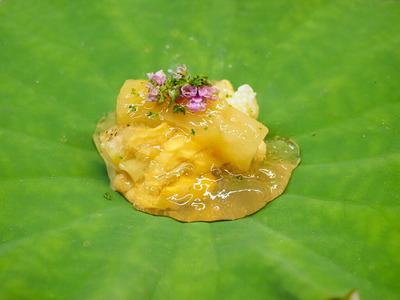 P7250303