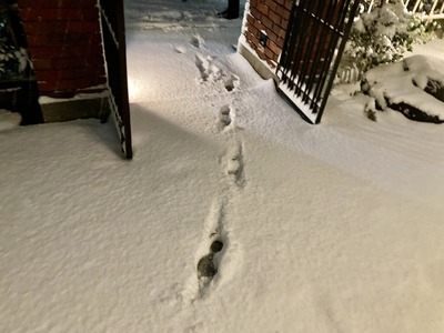 329320224_920107339415137_6155482037736641433_n