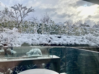 329246634_1418315912246829_9176340446892484634_n