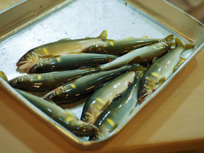 P7070010