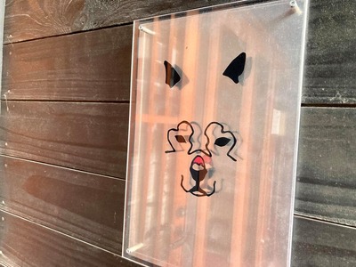 248747879_4542114845834341_1481283817504934680_n